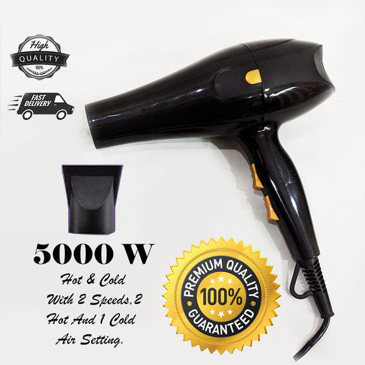 Professional Hair Dryer